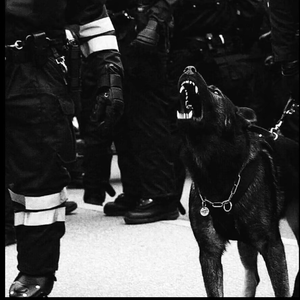 国产麻豆亚洲av片在线观看播放
